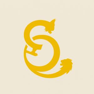 Diákjaink sportszövetségen keresztül elért kiemelkedő eredményei