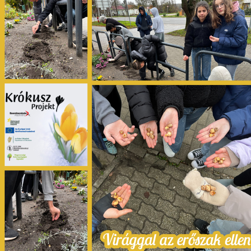 Virággal az erőszak ellen