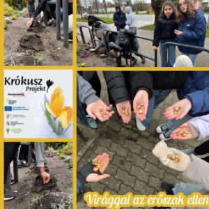 Virággal az erőszak ellen